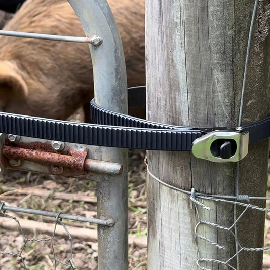 Ultimativer sicherer Verschluss-Befestigungsgurt