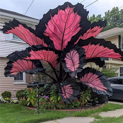 100 Caladium-Samen für die Innen- und Außenbepflanzung